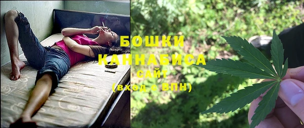 амф Елабуга
