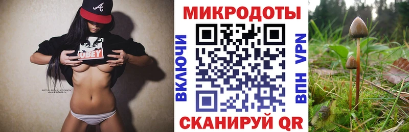 Галлюциногенные грибы Psilocybe  цена   Перевоз 