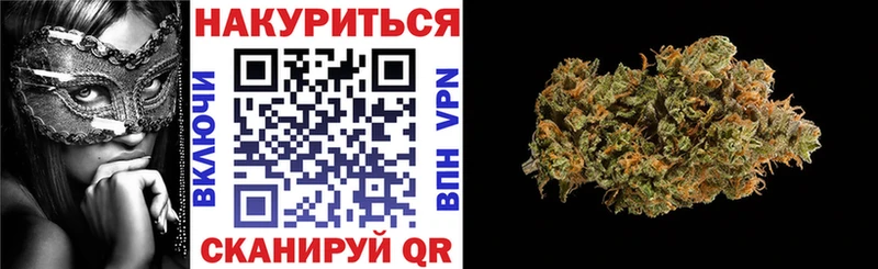 наркота  Перевоз  Каннабис планчик 